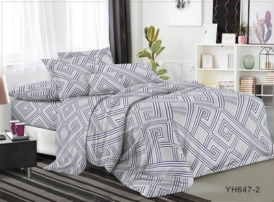 Двухспальный комплект постельного белья Vital - Textile Бязь 3D Premium 180х220 см (BP2-325)