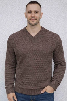 Светр чоловічий щільний Triko 1005-3 XL коричневий