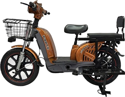 Електроскутер Forte EM219-WS 800 W 60B/20A 30 км/год Коричневий (BP152298)