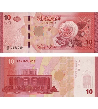 Банкнота 10 фунтів 2025 рік UNC