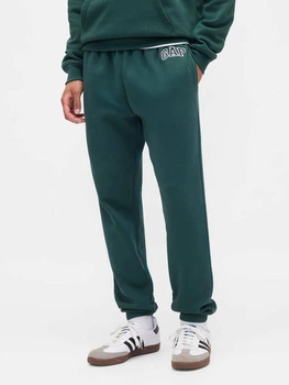 Спортивные штаны утепленные мужские GAP 685523377 L Зеленые (1159853500)