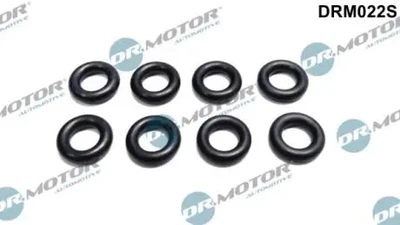 Уплотнительное кольцо Dr.Motor (DRM022S)