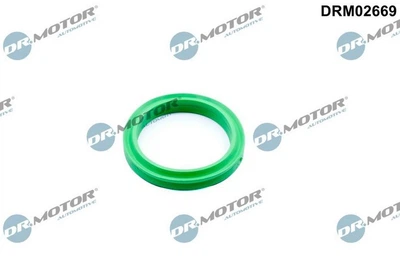 Уплотнительное кольцо Dr.Motor (DRM02669)