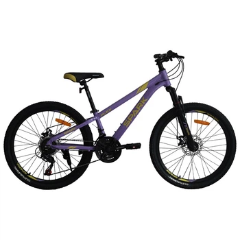 Велосипед AL 24" Spark Flex, Disk рама 11" сиреневый (238391)