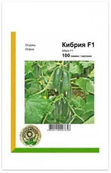 Огірок Кібрія F1 - 100 насінин