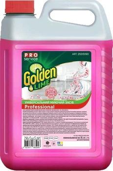 Універсальний миючий засіб PRO Servise Golden Lime Весняні квіти 5л (25515190)