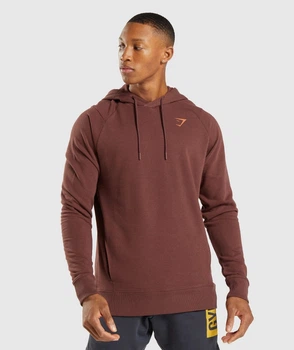 Худи для спорта Gymshark a1a5lc57 XL коричневое (100005843)