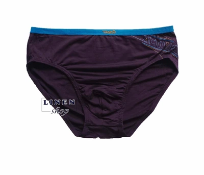 Фиолетовые мужские трусы брифы модал Sports style TASO 3638 L