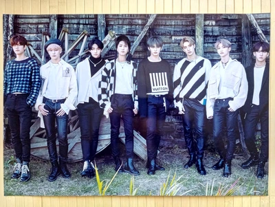 Постер Стрей кидс Stray Kids 17098