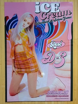 Постер Пак Чейон Роза Rose Black Pink Блэк пинк (арт 5) 3869