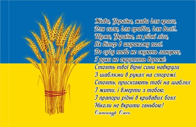 Прапор Живи, Україно! 80*120 см, прапорна сітка, преміум друк