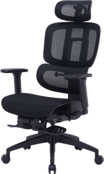 Офисное кресло OfficePro Skyline Footrest Black (OC750-B-B-B)