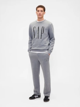 Спортивный костюм мужской утепленный GAP 355581199 L Серый (1159854795)
