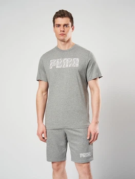 Футболка хлопковая длинная мужская Puma Essentials Graphics 69178703 S Medium Gray Heather (4069161973857)