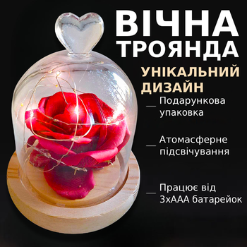 Вечная живая роза в стеклянной колбе цветок под куполом-колпаком 15 см ночник с LED подсветкой подарок девушке на день влюбленных