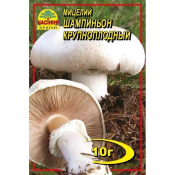 Міцелій гриба Насіння Країни Печериця Великоплідний, 10 м