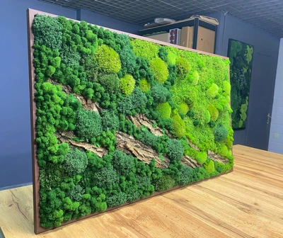 Картина з Моху - 90x60 см - Ягель та Рослини - 815