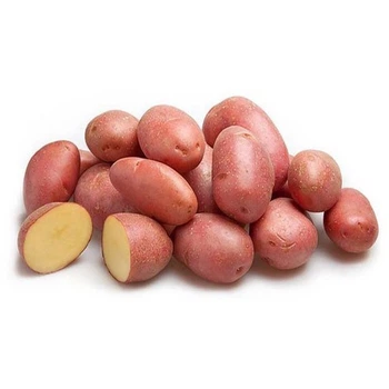 Насіннєва картопля Алюетт 2,5 кг (перша репродукція) Проф.насіння