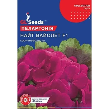 Пеларгонія Найт Вайолет F1 5 шт Gl Seeds