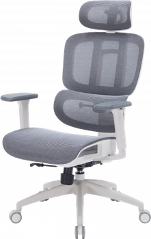 Крісло офісне OfficePro Skyline oc680-w-dg-dg