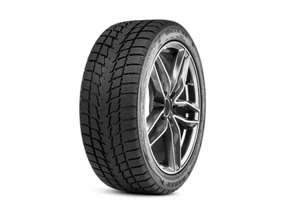 Зимова шина Radar Dimax Ice 215/55 R16 97T