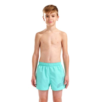 Шорты детские Arena BEACH SHORT LOGO R (006446-890) 10, 140 см