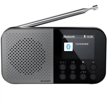 Радиоприемник Sharp DR-P520 Grey