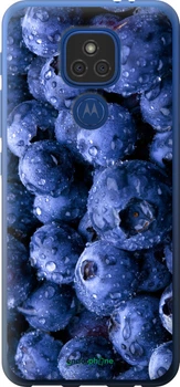 Чехол на Motorola E7 Plus Голубика "4459u-2107-70447"