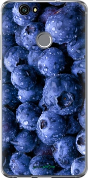 Чехол на Huawei Nova Голубика "4459u-439-70447"