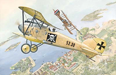 Немецкий истребитель Albatros D.III Oeffag s.53 Сборная пластикова модель в масштабе 1:72 Roden