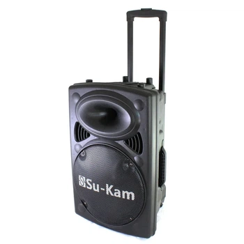Акустична система Su-Kam BT 120D 12 дюймів 120W із двома бездротовими мікрофонами Bluetooth USB TF AUX для заходів