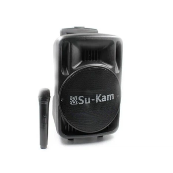 Колонка Su-Kam BT 100D (1 микрофон, 12В/220В)