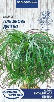 Семена Нолины (Бокарнеи, Бутылочного дерева), 4 шт
