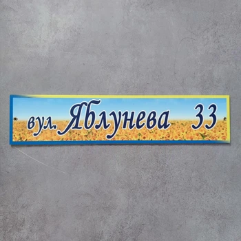 Вуличний покажчик патріотичний 45х10 см