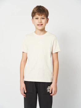 Підліткова футболка для хлопчика Puma Essentials Small No.1 Logo 69297587 170-176 см Alpine Snow (4069162017543)