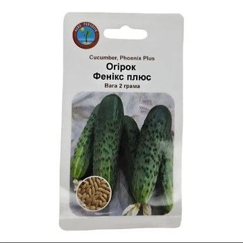 Семена огурца Феникс Плюс Agro Paradise, 2г, среднеранний высокоурожайный сорт, зеленый