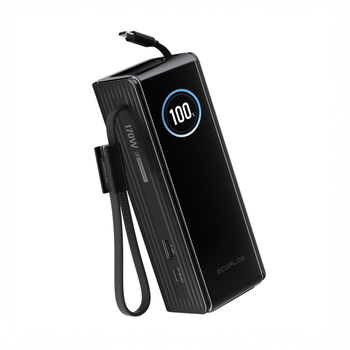 Повербанк портативный EcoFlow Rapid 25000mAh (170W) со встроенным