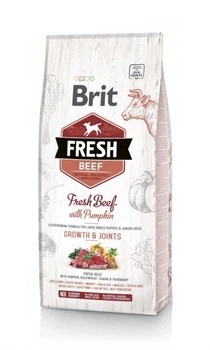 Сухой корм Brit Fresh Beef & Pumpkin Puppy Large Breed для щенков, юниоров и молодых собак крупных пород с говядиной 12 кг