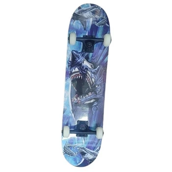 Скейтборд класичний Explore Slide Master New Shark