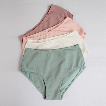 Набор женских трусов пастельных цветов 4 пары 54 рисунок TS2-Pastel-54 Ladan