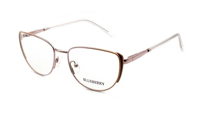 Оправа для очков металлическая Blueberry 39045A-C4