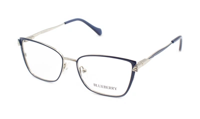 Оправа для очков металлическая Blueberry 3973-C5