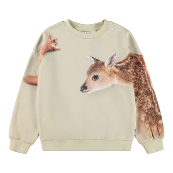 Свитшот Molo Maxi Forest Friends, цвет бежевый, размер 128 (2W25J210.9626)