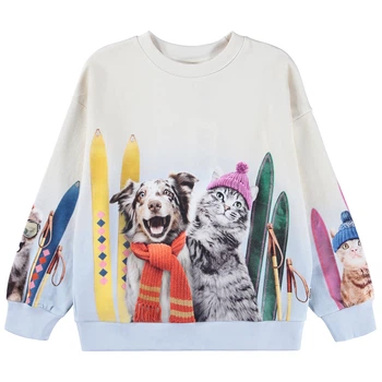 Свитшот Molo Maxi Going Skiing, цвет разноцветный, размер 104 (2W25J211.9707)