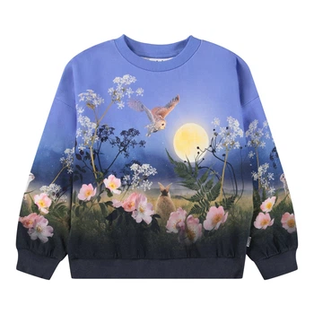 Свитшот Molo Maxi Magic Moonrise, цвет голубой, размер 110 (2W25J211.9625)