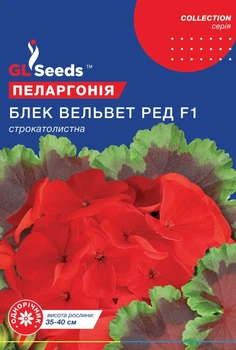 Пеларгонія GL Seeds Блек Вальвет Ред F1 5 шт