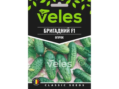 Огірок ВЕЛЕС (10 пачок) Бригадний F1 2,5г МАКСІ