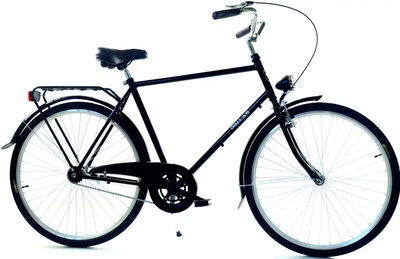 Men's City Bike 28 DALLAS 21 inch DUTCH