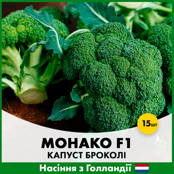 Голландське насіння Syngenta Капуста броколі Монако F1 15 шт