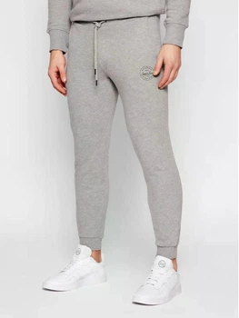 Спортивные штаны Jack&Jones S серые 1059463